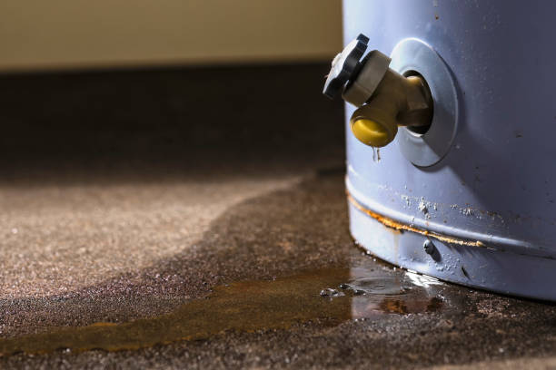 Best Water damage contractors near me  in Herald Harbor, MD