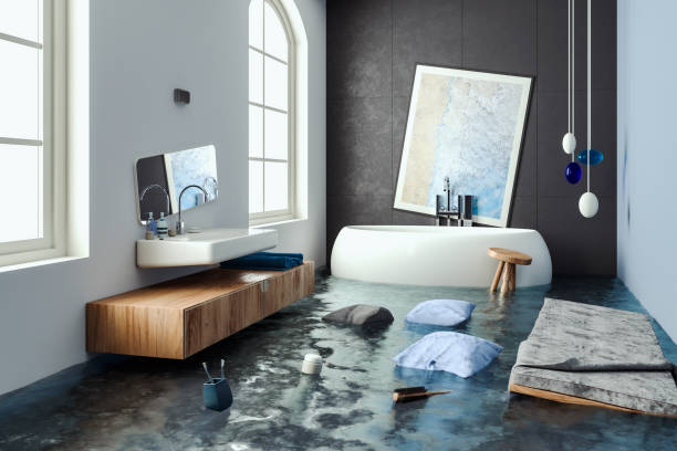 Herald Harbor, MD Water damage restoration Company