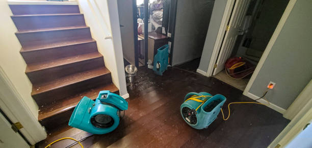 Trusted Herald Harbor, MD Water damage restoration Experts