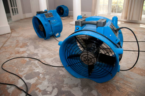 Best Water damage restoration mold remediation  in Herald Harbor, MD