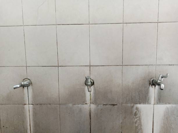 Best Commercial water damage restoration  in Herald Harbor, MD